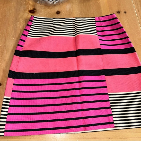 Striped Pink and Black Women's Skirt - Picture 1 of 3